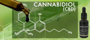 cbd-300x135