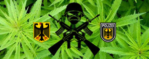 deu-300x120